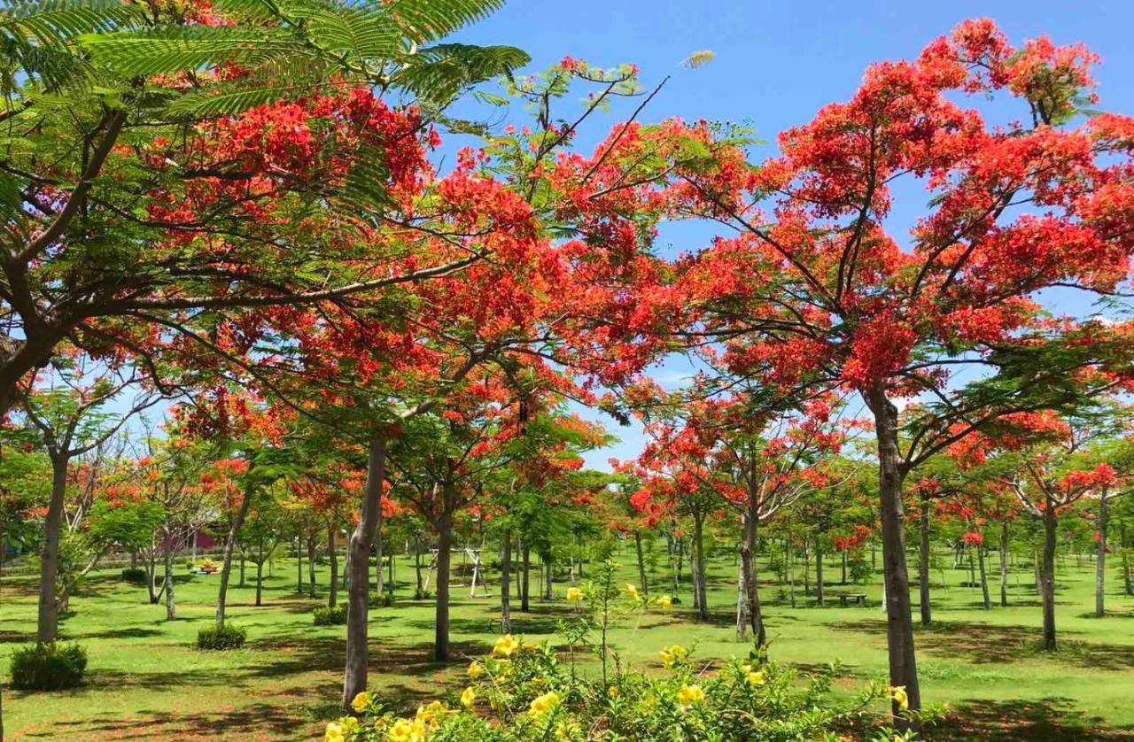 Ttc Resort - Doc Let Ấp Ninh Hòa  Exteriör bild