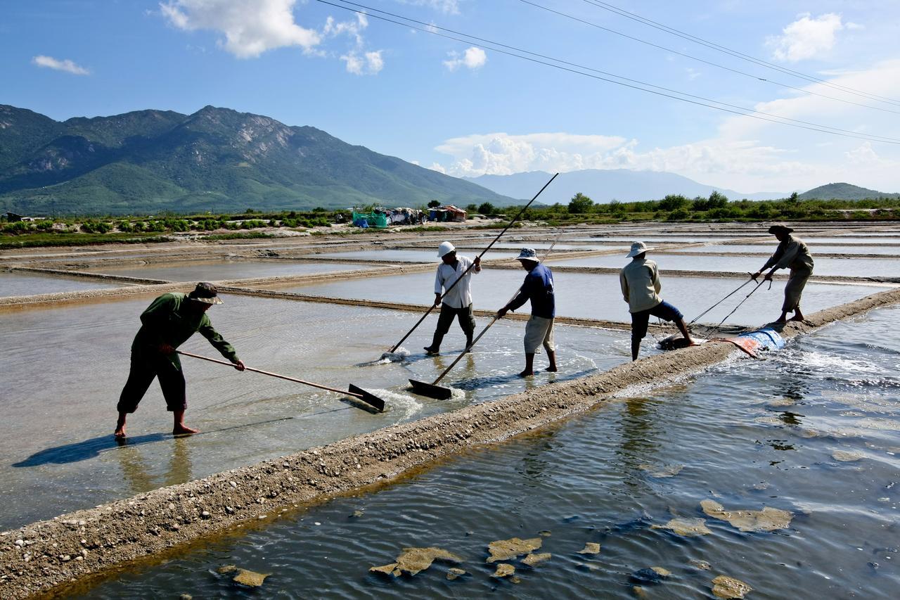 Ttc Resort - Doc Let Ấp Ninh Hòa  Exteriör bild